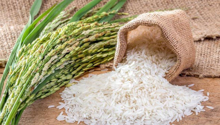 Giá gạo thế giới phục hồi, vì sao xuất khẩu Việt Nam vẫn giảm?
